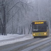 Заснежило. :: Владимир Гилясев