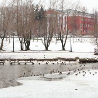 Пруд в Царицино :: Екатерина Сидорова