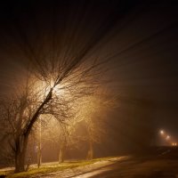 Ночной туман 2 :: Валерий Тёсса