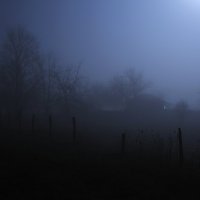 Лунная туманная ночь-4 :: Roman Globa