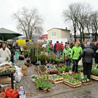 Market... :: Janis Jansons