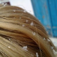 Снежинка на волосах :: Ольга Ходус