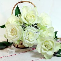 Белые розы. :: Татьяна Беляева