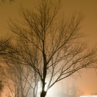 Ночная дымка :: Владимир Кирпа 