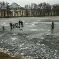 Рыбаки. В Таврическом саду. :: Сергей Глотов