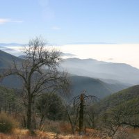 Lake Big Bear (California) :: Nonna 