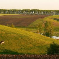 ...с. Ружин... :: Александр Садовский