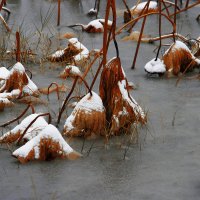 Предзимье :: Вячеслав Владимирович 