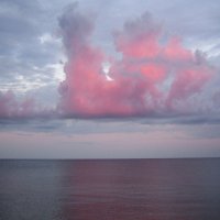 Розовый дракон над морем. :: Алина Тазова