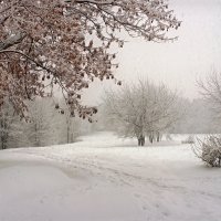 Снегопад в Коломенском ...3 :: Андрей Войцехов