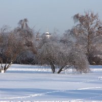 морозец :: Александр Шурпаков