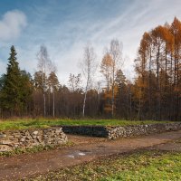 Геометрия осени... :: Владимир Комышев