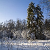 Двое у дороги :: Елена Леонова