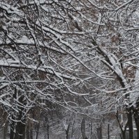 Зима в Уфе :: Диана 