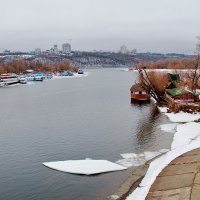 Зимой в Гидропарке :: Людмила Зайцева