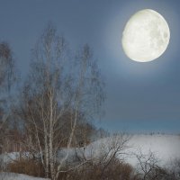 Лунный свет :: Владимир Анакин