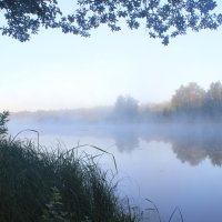 Утренний туман над озером :: Валерий Бочкарев