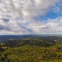 Заповедник Красноярские столбы :: Виталий Шарипов