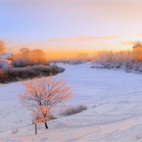 Мороз и солнце... :: Александр Никитинский