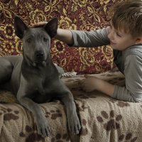 Собака и ребенок :: Екатерина Сидорова
