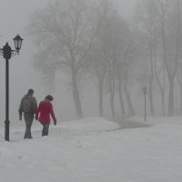 Всё в тумане! :: Владимир Шошин