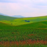 Зелёные  холмы. :: Vlad Borschev