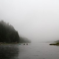 Утренний туман :: Наталья Мацкевич