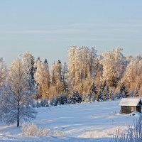 Зимний пейзаж... :: Александр Никитинский