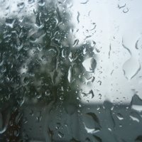 Дождь :: Andriana 