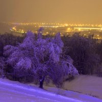 Зимняя сказка. Москва. Воробьёвы горы. :: Игорь Герман