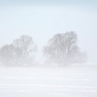 Туман над речкой :: Юрий Савинский