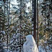 Снежные скульптуры людей в зимнем лесу. :: Валерий. Талбутдинов.