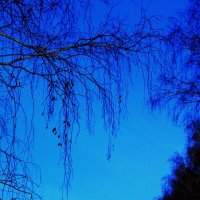 синие небо :: Nastya IVA