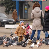 Городская жизнь. :: Сергей Жадан