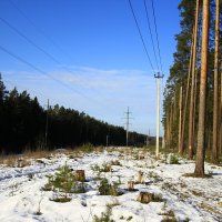 Весна :: Павел Кузнецов