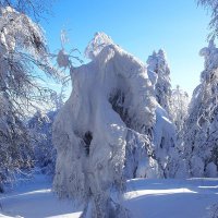 Зимние зарисовки :: Анатолий Катков