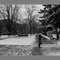 Азов, снег,весна. :: Олег Авакимов