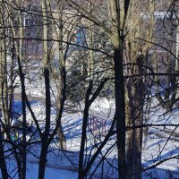 Зимний день в сквозном проеме незадернутых гардин... :: Игорь Липинский