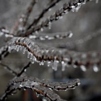 Ледяной дождь :: Денис Зятьков