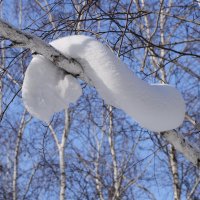 Последние зимы причуды... :: Татьяна Алферова