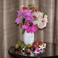 букет из тропических цветов и фруктов :: Нина Штейнбреннер