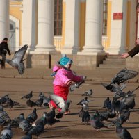 Разлетайтесь, птички! :: Олег Кашаев