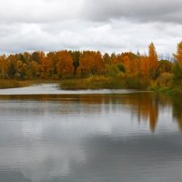 О чем задумалась ты, осень? :: Наталья Цветкова