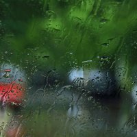 Дождь :: Дмитрий Близнюченко
