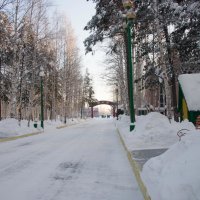 Парк ждет весны и своих посетителей :: Светлана Кулешова