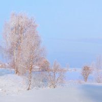 Зимняя, морозная... нежность. :: Александр Никитинский