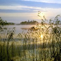 Рассвет на Бородаевском озере :: Валерий Талашов