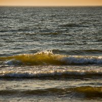 Балтийская волна :: Виталий Латышонок