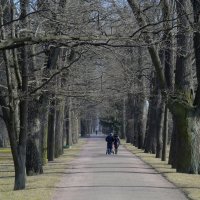 Царское Село. Екатерининский парк. Прогулка :: Юрий Цыплятников