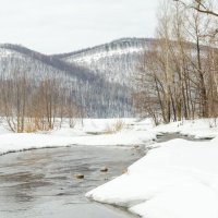 Река Сикася :: Артём Яковлев